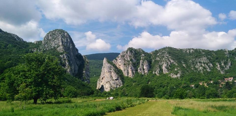 Odmaraliste Vlasko Zdrelo Pirot Zewnętrze zdjęcie