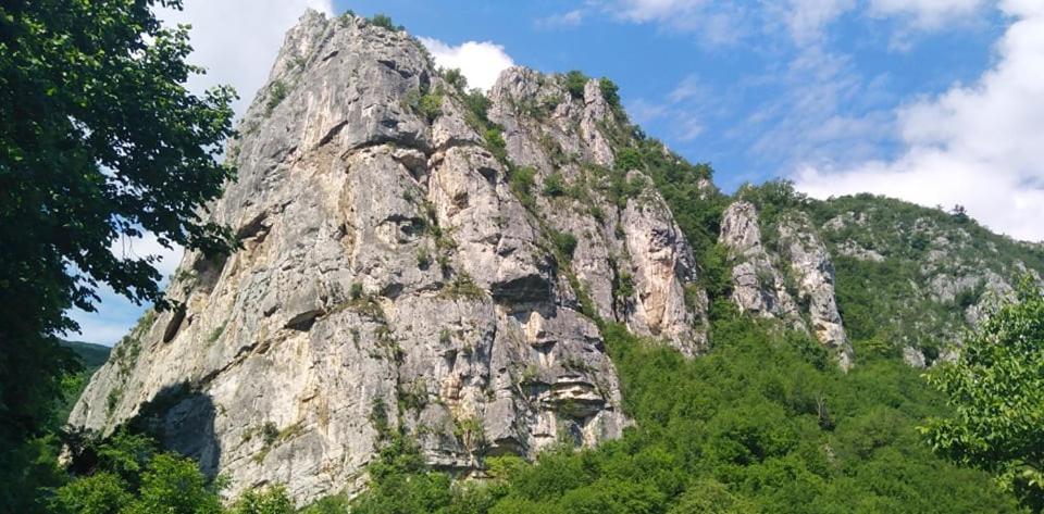 Odmaraliste Vlasko Zdrelo Pirot Zewnętrze zdjęcie