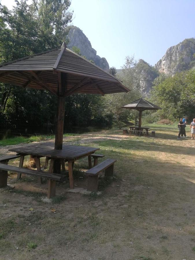 Odmaraliste Vlasko Zdrelo Pirot Zewnętrze zdjęcie
